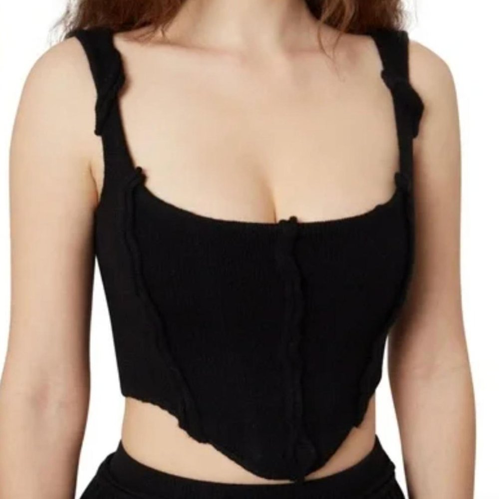 Brand new never worn Danielle Guizio brand new never worn knit seamed corset.